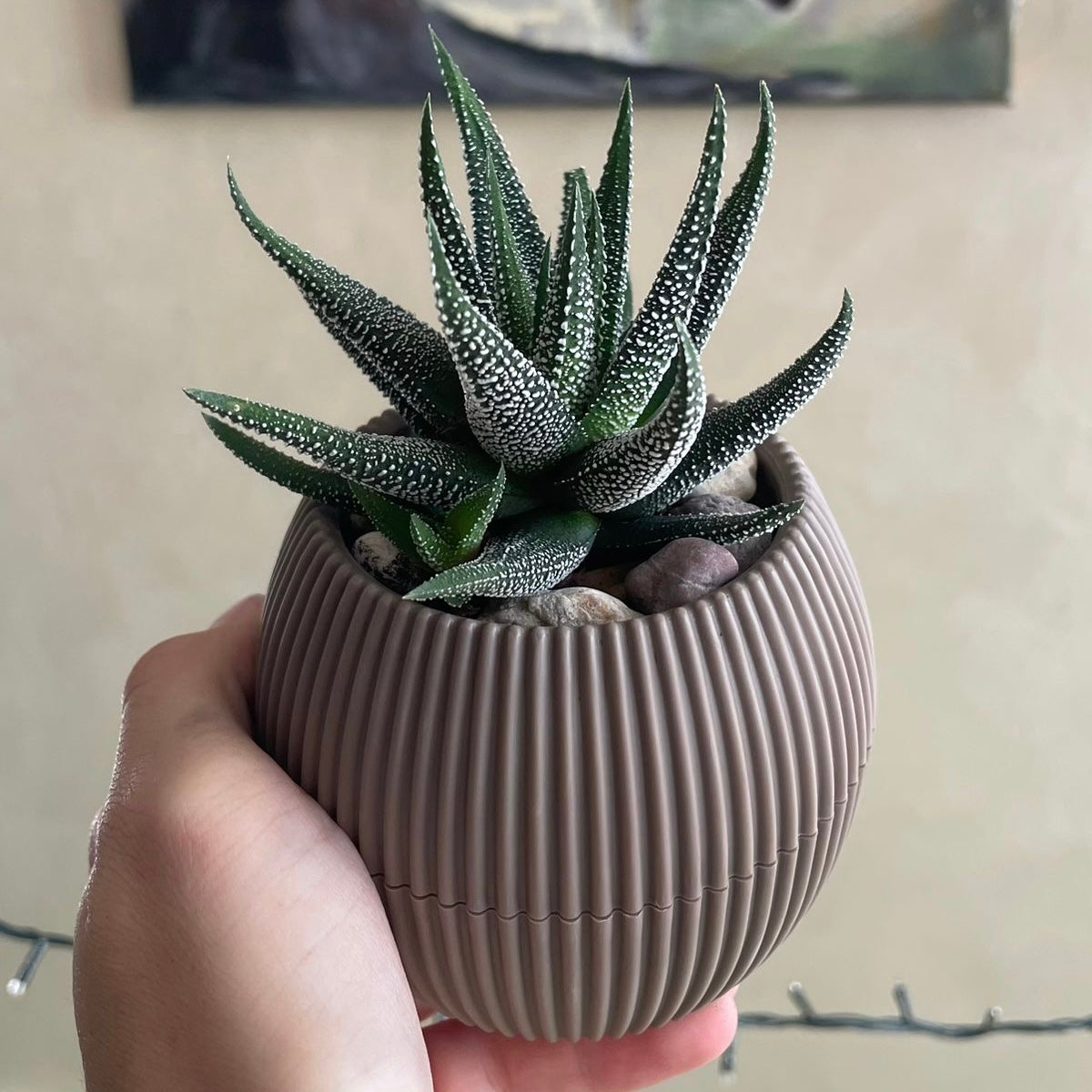 Christmas Gift Package