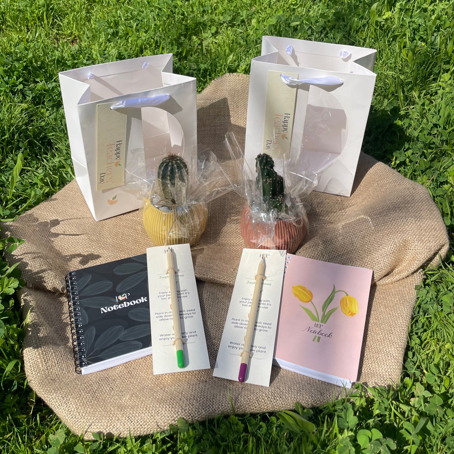 Teacher's Day Gift Package