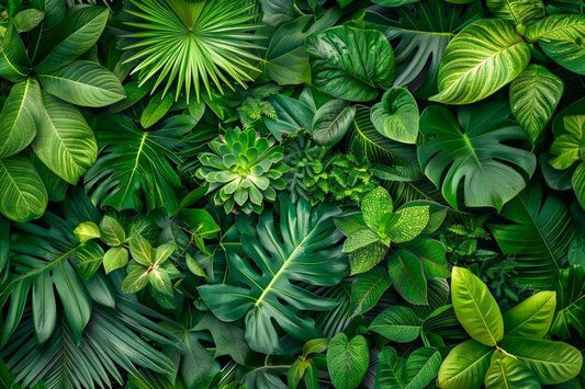 The Perfect Green Companion for Your Space – Even if You're a Beginner