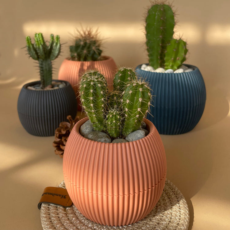 Table Greens