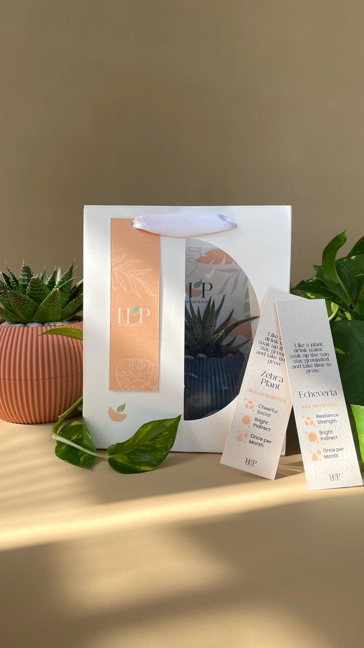 Gift Packages