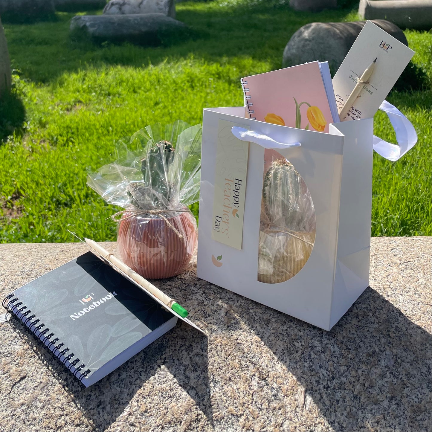 Teacher's Day Gift Package