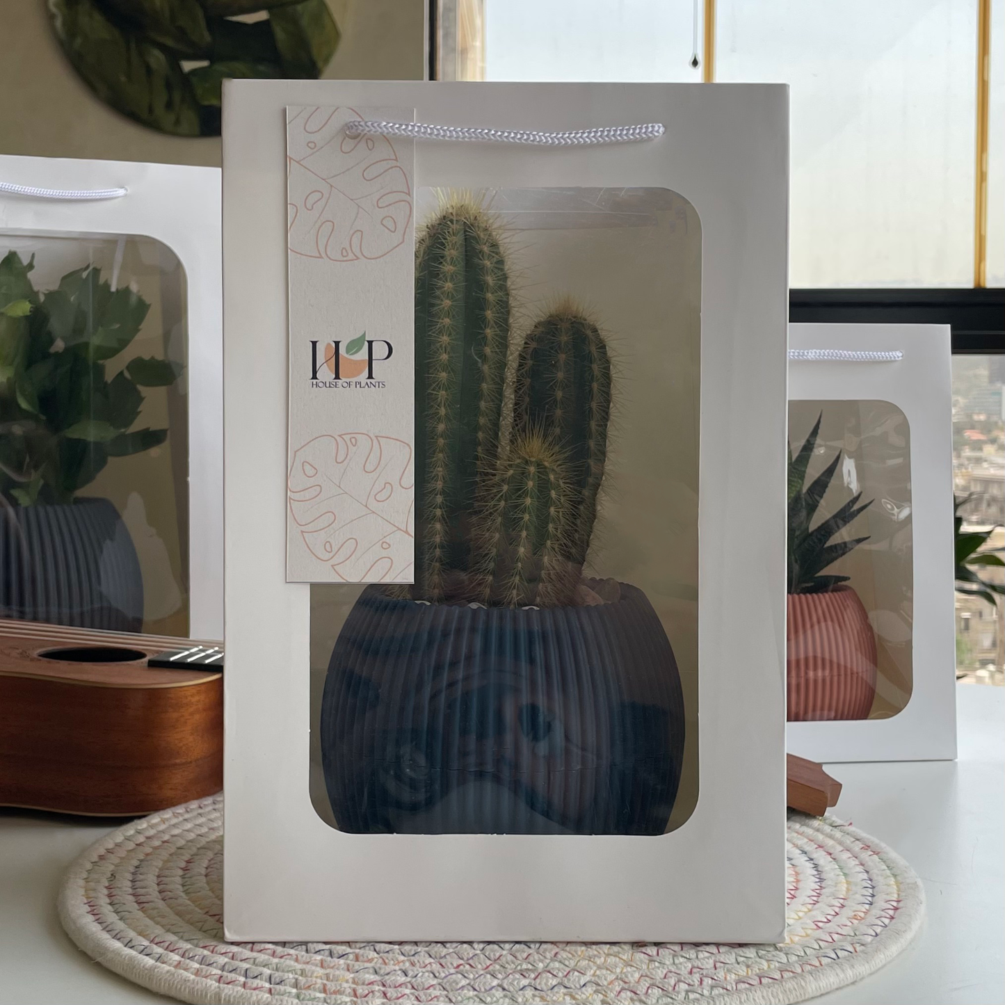 Mid Gift Package