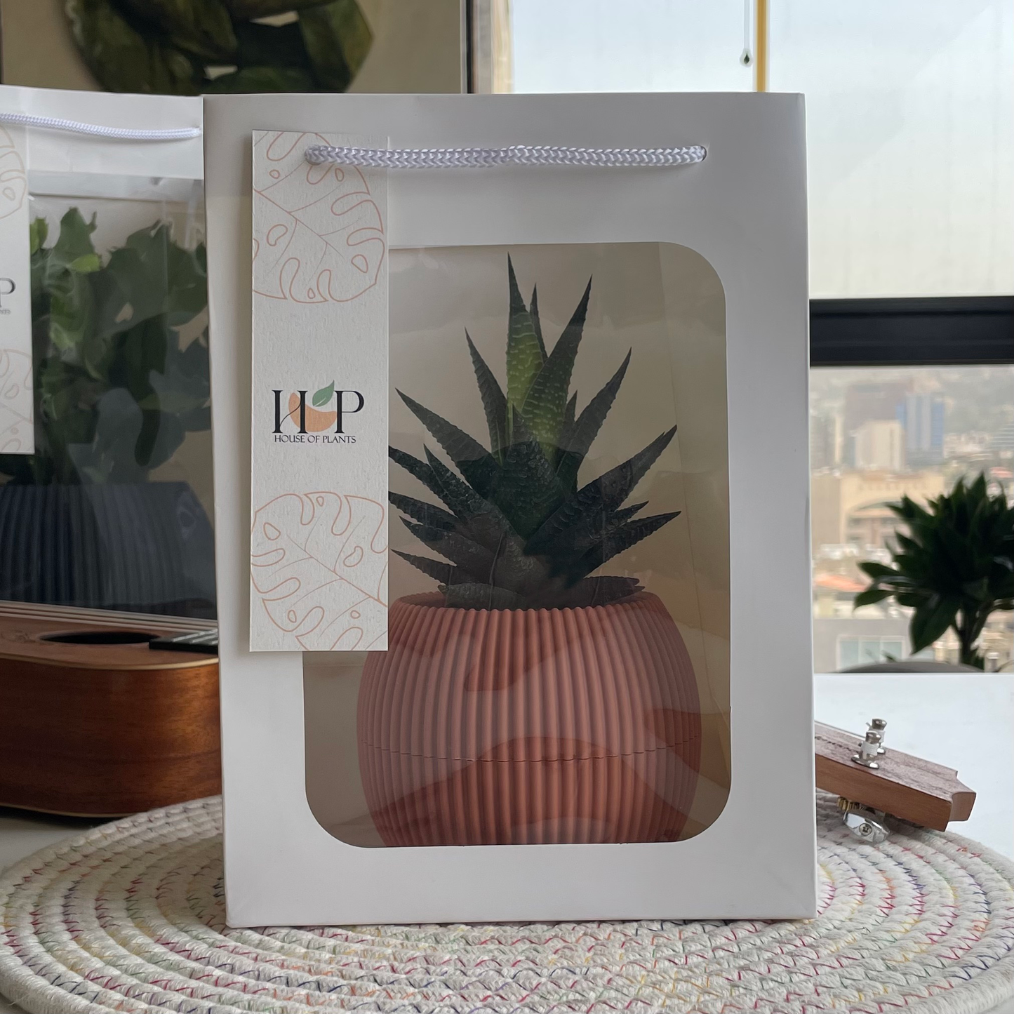 Mini Gift Package
