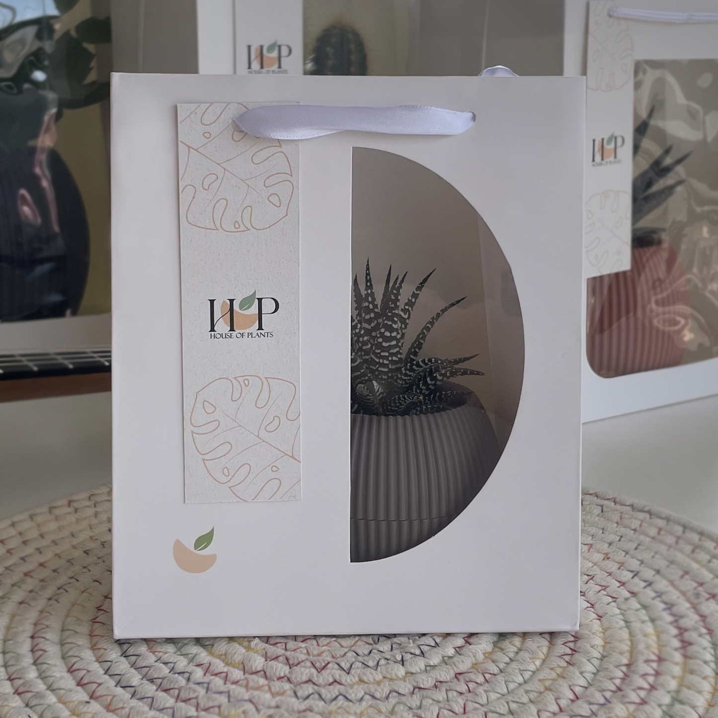 Tiny Gift Package