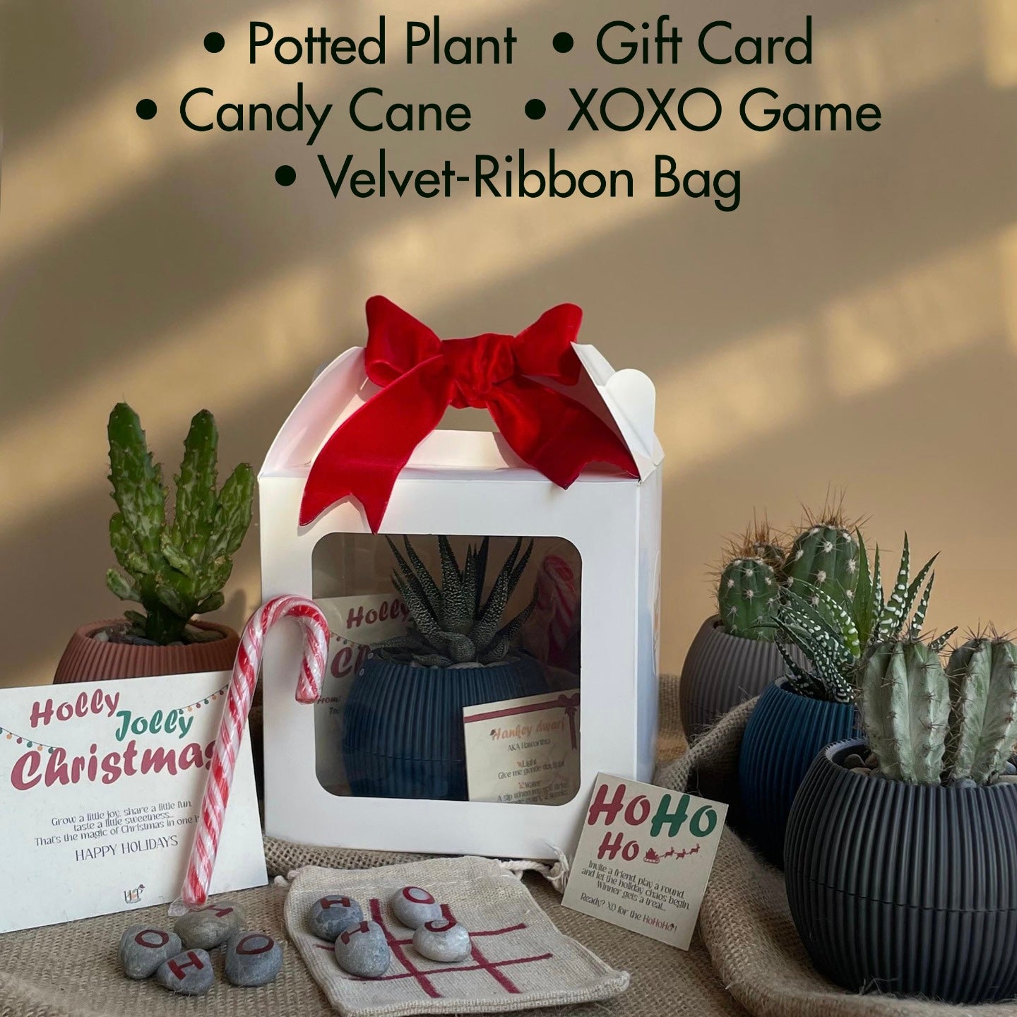 Christmas Gift Package