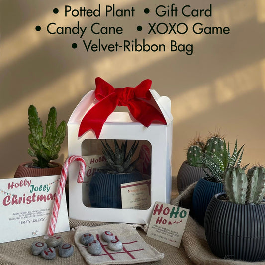 Christmas Gift Package