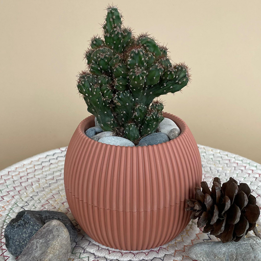 Fairy Castle in Mini Round Pot